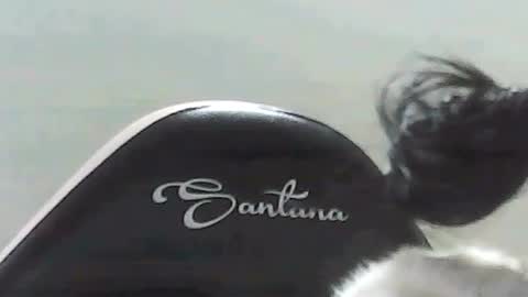 farianna_hot online show from 2, 5, 2026