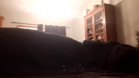 Snapshot of farm2boy chatting on 11, 1, 2025 Farm2boy online show from 11, 1, 2025