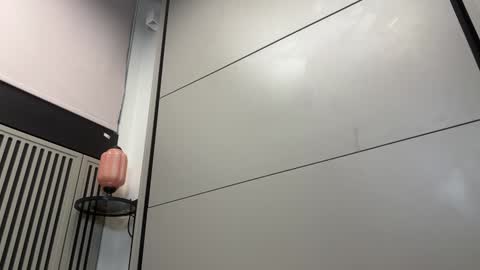 Gattino online show from 13, 12, 2024