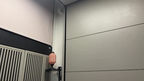 Gattino online show from 9, 2, 2025