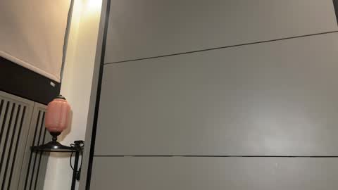 Gattino online show from 8, 3, 2025