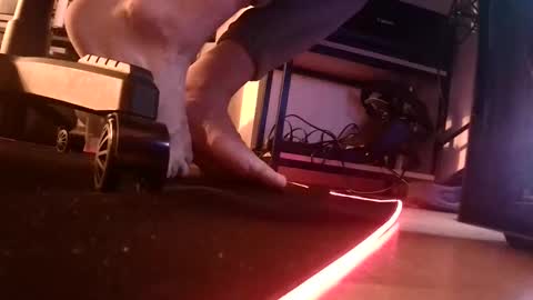 feetishman91 online show from 27, 3, 2026