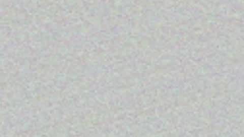Snapshot of feleenafux42 chatting on 3, 5, 2026 FeleenaFux online show from 3, 5, 2026