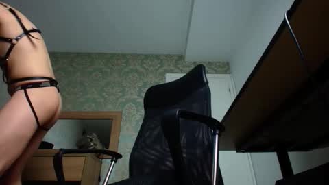 FelixStark online show from 20, 10, 2025