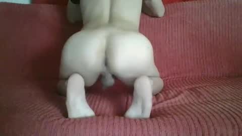 femboyhot28 online show from 9, 11, 2025