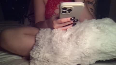     online show from 13, 11, 2025