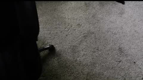 fengshui1982 online show from 29, 11, 2025