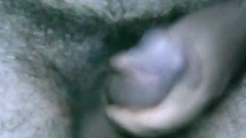 Snapshot of fer_2197 chatting on 28, 12, 2024 fer_2197 online show from 28, 12, 2024