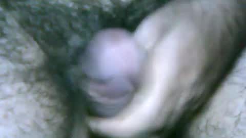 Snapshot of fer_2197 chatting on 27, 1, 2025 fer_2197 online show from 27, 1, 2025