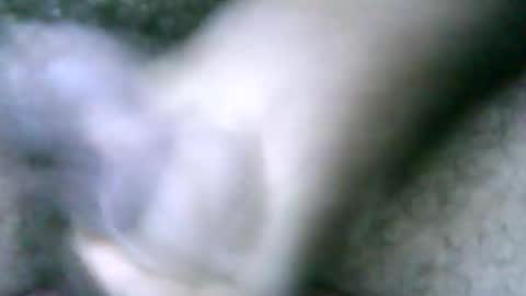 Snapshot of fer_2197 chatting on 18, 2, 2025 fer_2197 online show from 18, 2, 2025