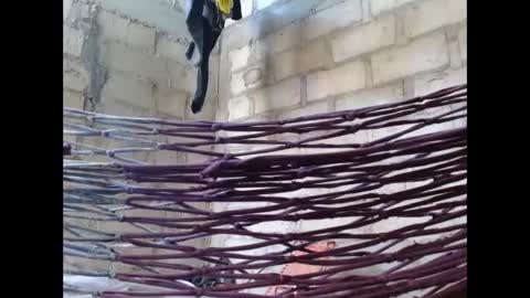 fernandez_latinblack online show from 1, 10, 2025