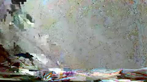 fernandez_latinblack online show from 18, 11, 2025