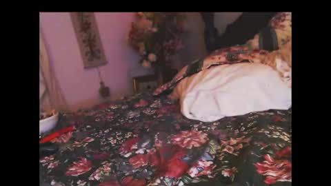 ferra_testarossa online show from 5, 11, 2025