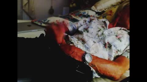 ferra_testarossa online show from 1, 7, 2026