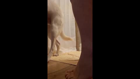 fetishdad863 online show from 17, 4, 2026