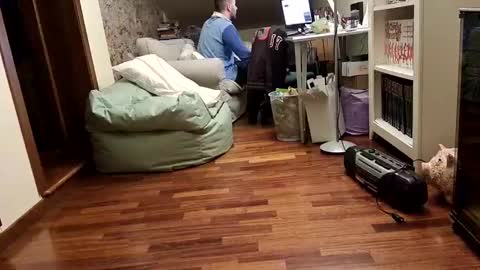 Fid online show from 17, 2, 2025