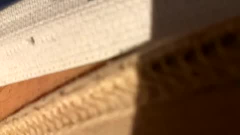 Fiksok online show from 14, 4, 2026