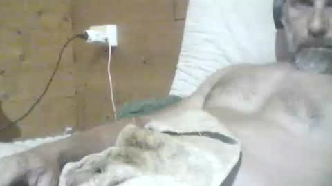 Snapshot of filip1981 chatting on 29, 5, 2026 filippo online show from 29, 5, 2026