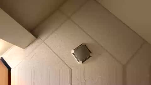 Fine Shit online show from 27, 11, 2025