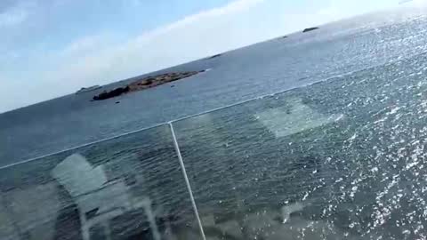 fischandchip online show from 11, 10, 2025