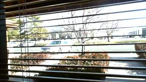 pain slut daren online show from 9, 1, 2025