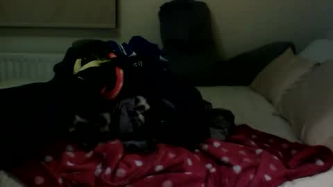 Fitbut online show from 30, 1, 2025