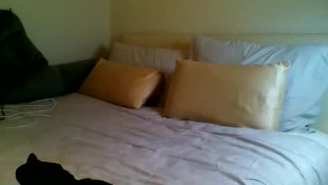 Fitbut online show from 15, 9, 2025