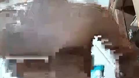 Snapshot of fitchestabs_69 chatting on 7, 12, 2024 fitchestabs_69 online show from 7, 12, 2024