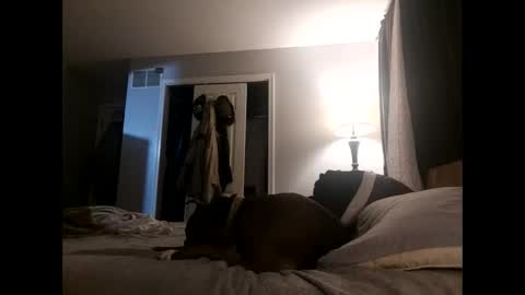 Snapshot of fkmylife6669 chatting on 2, 11, 2025 Nate online show from 2, 11, 2025