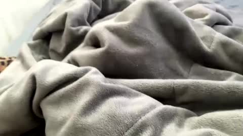 Jat online show from 21, 12, 2024