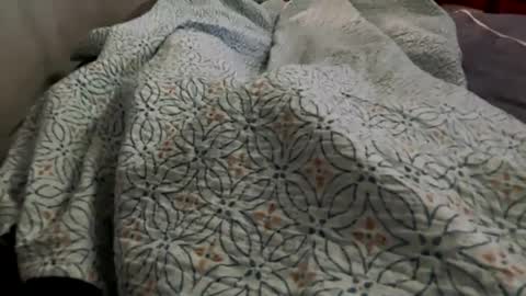 Jat online show from 29, 12, 2024