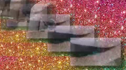 Flextle Bunny online show from 17, 1, 2026