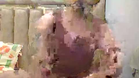 Snapshot of flirtsxxx chatting on 21, 4, 2026 flirtsxxx online show from 21, 4, 2026