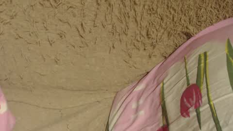 say meow and send tip  online show from 9, 12, 2024