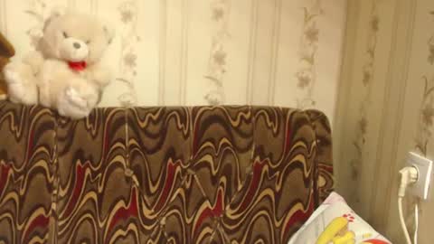 say meow and send tip  online show from 27, 2, 2025