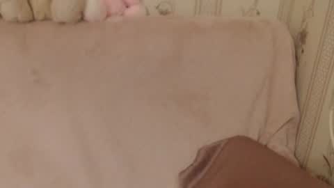 say meow and send tip  online show from 26, 6, 2026