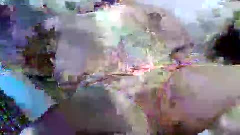 flufferbutt2 online show from 14, 4, 2026