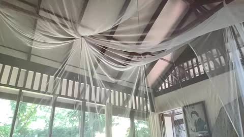 fluffy_bunnyxxx online show from 6, 2, 2025