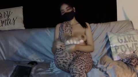 Fogbunny online show from 15, 12, 2024