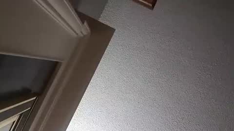 Snapshot of followthewhiterabbittail chatting on 2, 10, 2025 Have fun remembering u online show from 2, 10, 2025