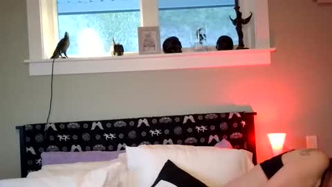 forbiddenwifey online show from 8, 4, 2026