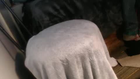 forestnymphpdx online show from 20, 12, 2024