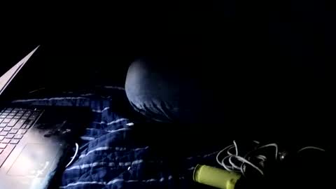 forestnymphpdx online show from 22, 10, 2025