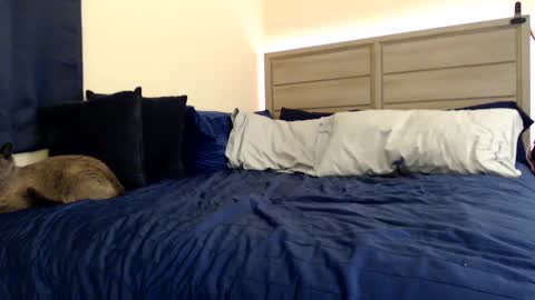 Snapshot of fragilemasochist chatting on 5, 12, 2024 Angel online show from 5, 12, 2024