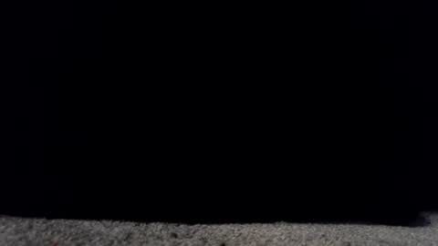 francescafey online show from 17, 3, 2026