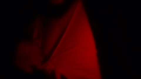 freaky_d48 online show from 12, 11, 2025