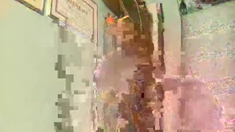 Snapshot of freddy3399 chatting on 17, 12, 2024 freddy3399 online show from 17, 12, 2024