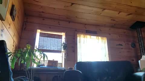 Snapshot of frederickory chatting on 1, 3, 2026 Anderson fz online show from 1, 3, 2026