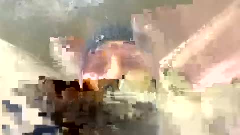 Horny french hard online show from 17, 12, 2024