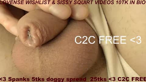 Meadow online show from 9, 2, 2026